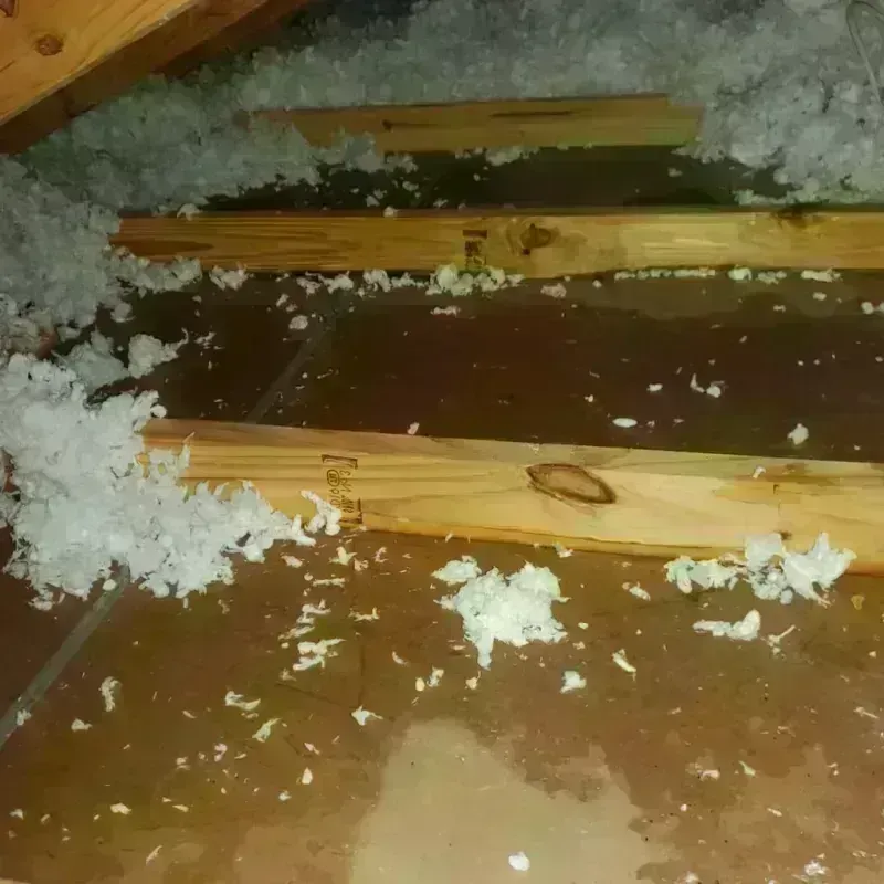 Attic Water Damage in Montgomery County, IN